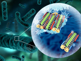 The mechanism behind ice-forming bacteria