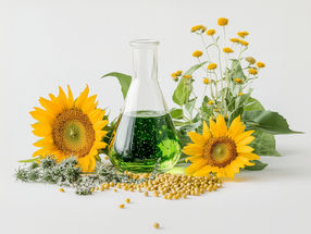 Start-up Entrepreneurs Want to Make Chemical Industry More Sustainable