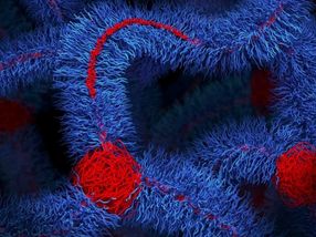 Nearly 200-year-old challenge in polymers solved in major materials breakthrough