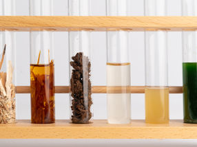 Biohydrogen from Wood Waste