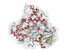 Nobel Prize in Chemistry: How protein discoveries benefit research at BASF