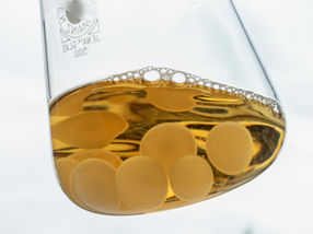 Electric fungi: The biobattery that needs to be fed