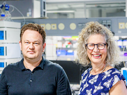 KNAUER invests and strengthens itself for international competition