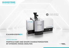 Quality Control of Bulk Solids with High-Speed Dynamic Image Analysis