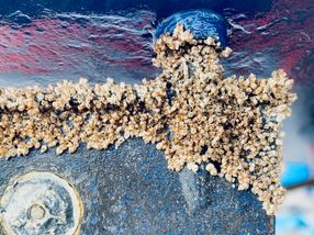 Shipping of the future: biodegradable antifouling coatings for clean seas