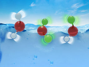 How water hides its quantum secret