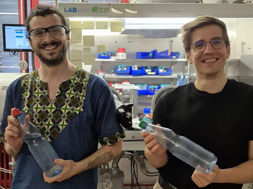 Enhancing the Sustainability of Plastics Using Sulphur Waste