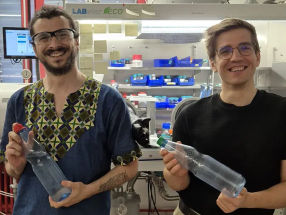 Enhancing the Sustainability of Plastics Using Sulphur Waste