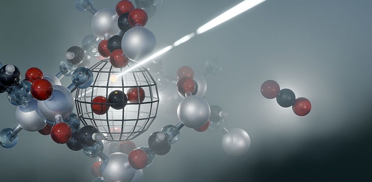 Understanding carbon traps