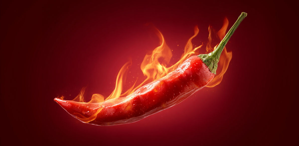 Uncovering compounds that tame the heat of chili peppers