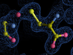 A new complexity in protein chemistry