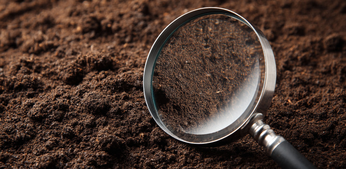 Computer-generated image