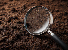 Lab in a tube: Monitoring soil chemistry without disturbing it