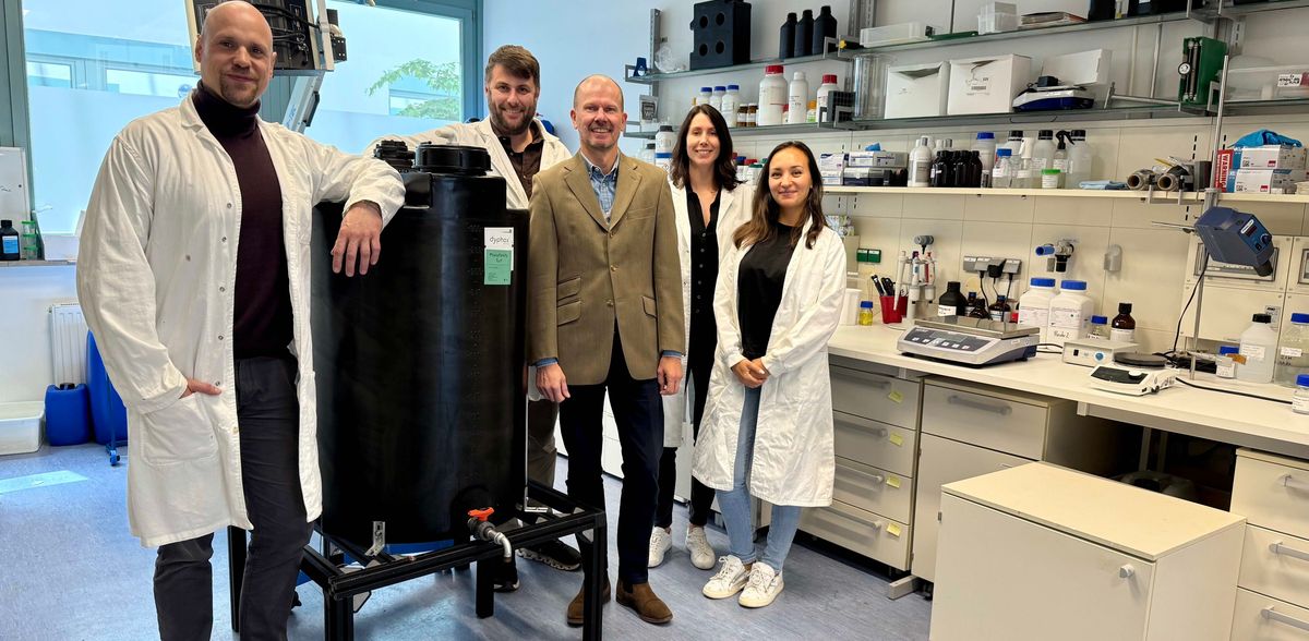 All good things come in threes: Dyphox is back