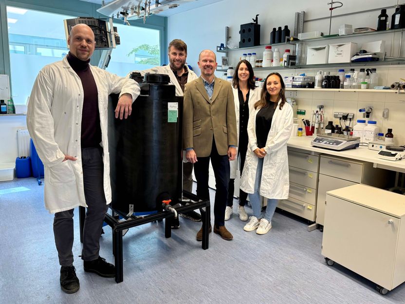 All good things come in threes: Dyphox is back