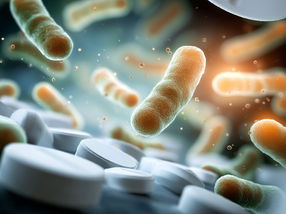 Microbes transform plastic waste into paracetamol