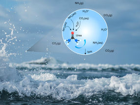How urea forms spontaneously