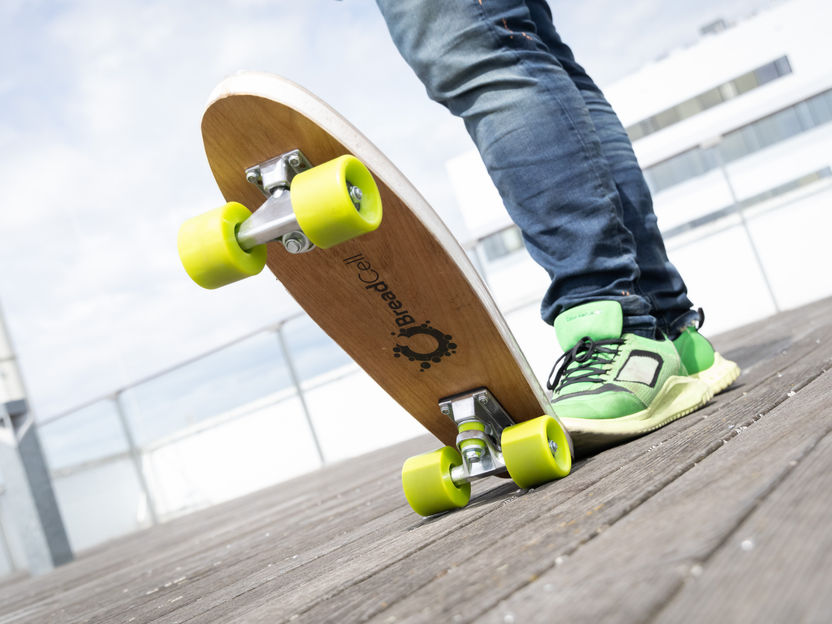 Cellulose instead of Crude Oil: Sustainable Foams Developed - An international research team has developed certified biodegradable and recyclable multi-purpose foams