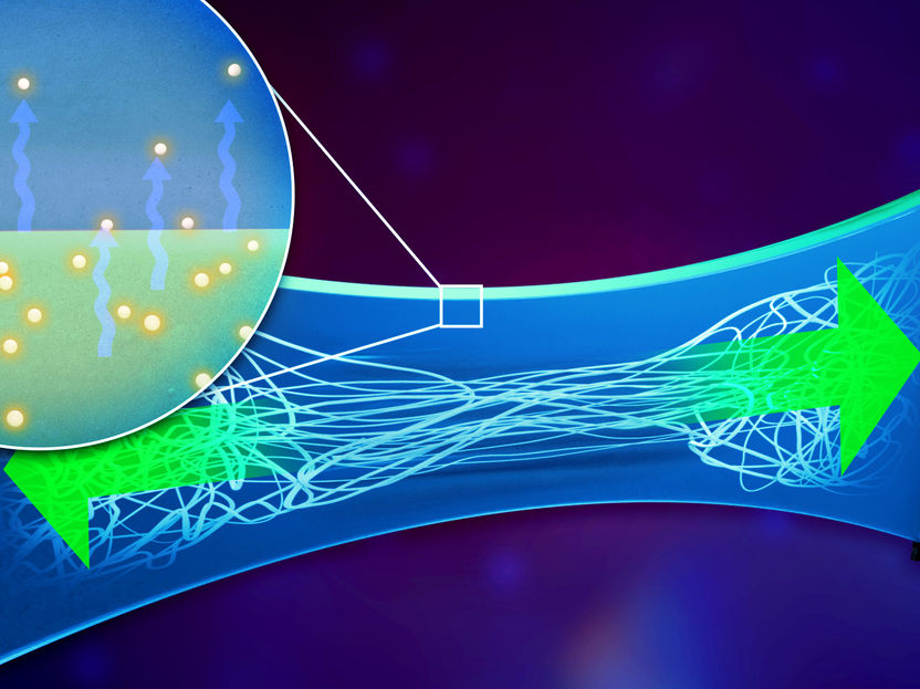 Stretchable Electronics: Conductive Polymer Optimized for Wearable Biosensors - A deformable patch that measures the heart rate or detects biomarkers in the sweat and feels as soft and flexible as one's own skin