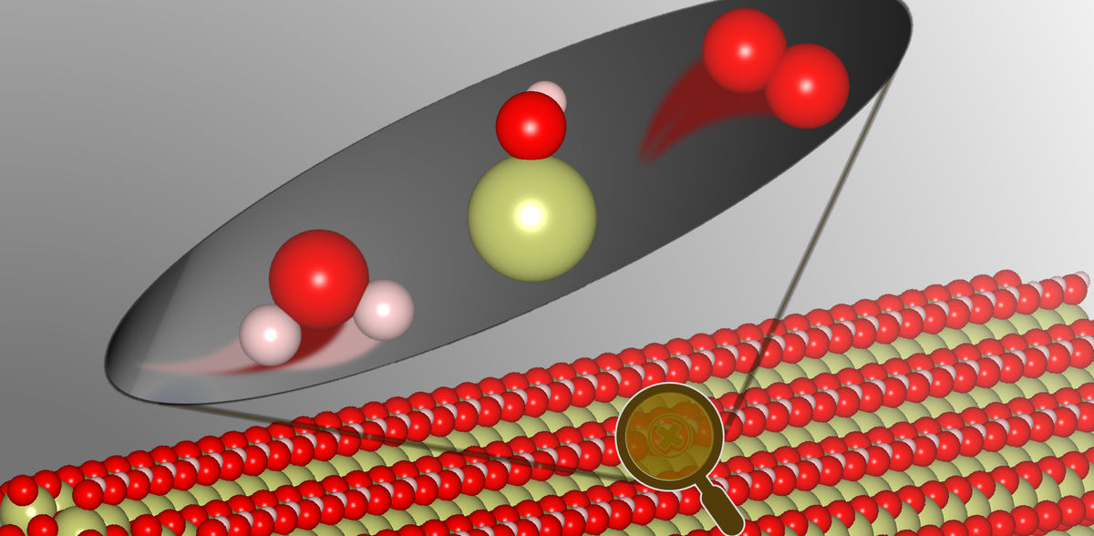 New Dynamics Discovered in Heterogeneous Catalysis