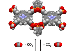 Sustainably producible covalent organic networks capture carbon dioxide